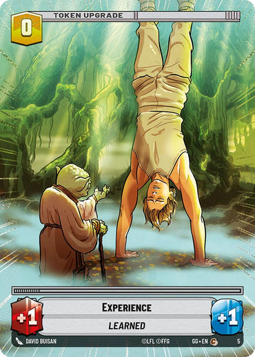 Experience (5/0) (5/0) [Miscellaneous]