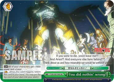 You did nothin' wrong! (FT/EN-S02-049S SR RE) [Fairy Tail Chronicle Set]