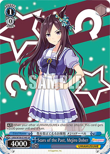 Scars of the Past, Mejiro Dober (UMA/W106-E144S) [Umamusume: Pretty Derby]